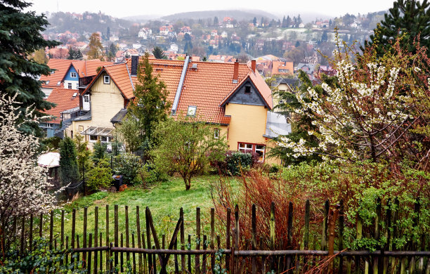 维尔尼罗德市的屋顶上笼罩着薄雾。德国萨克森-安哈尔特州图片下载