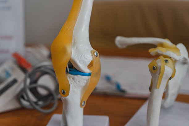 物理治疗门诊台式机膝关节模型图片下载