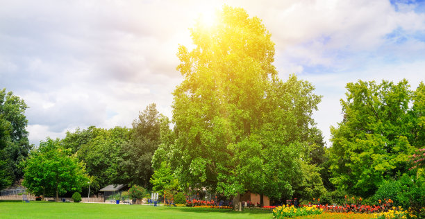 夏日公园，有美丽的绿色草坪和阳光。图片下载