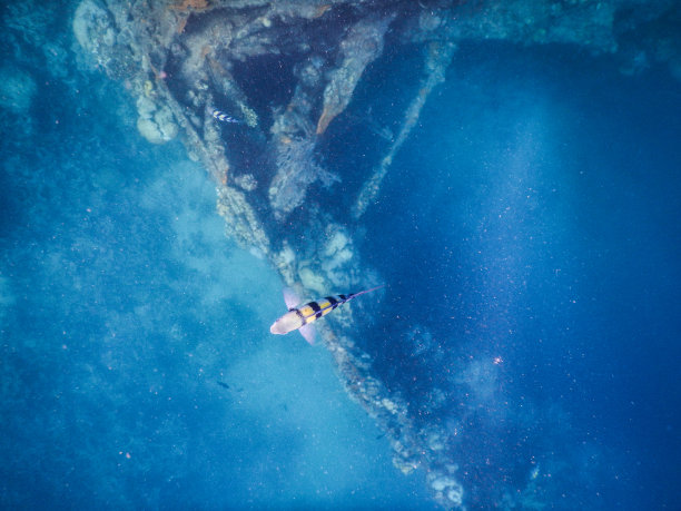 菲律宾科伦残骸残骸在水下图片下载