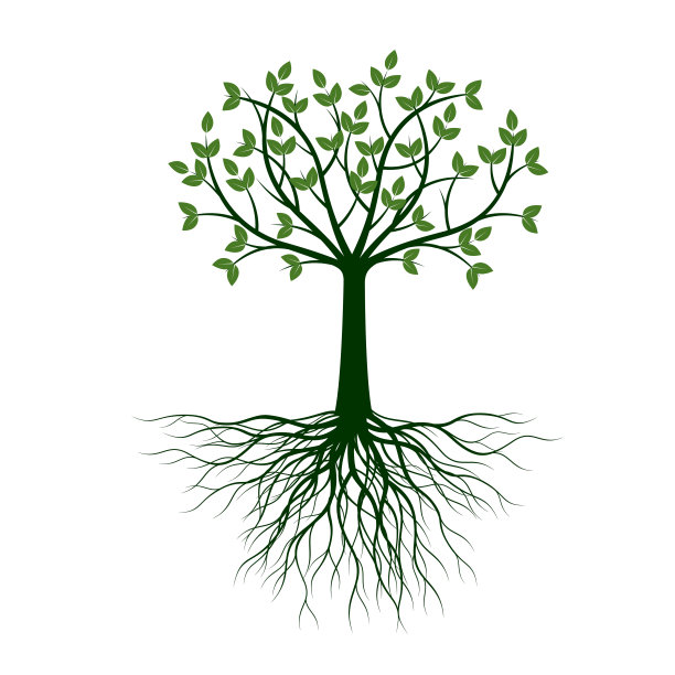 绿色的树有叶子和根。矢量插图轮廓。植物在花园。图片下载