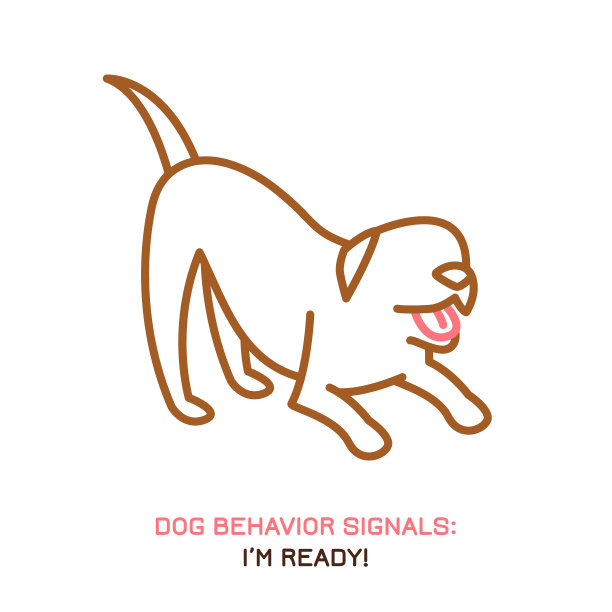 狗行为的图标图片下载