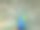美丽的蓝色孔雀有绿色和蓝色的羽毛。图片下载