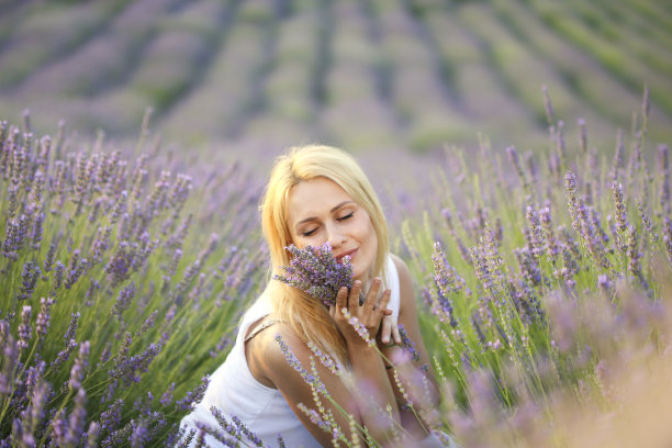 闻薰衣草花图片下载
