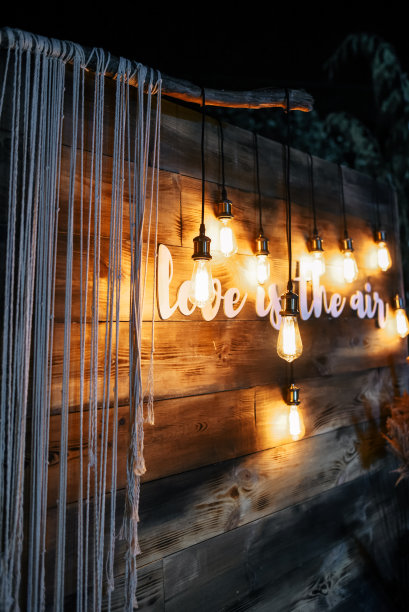 晚上的婚礼。有发光灯泡的照片区图片下载