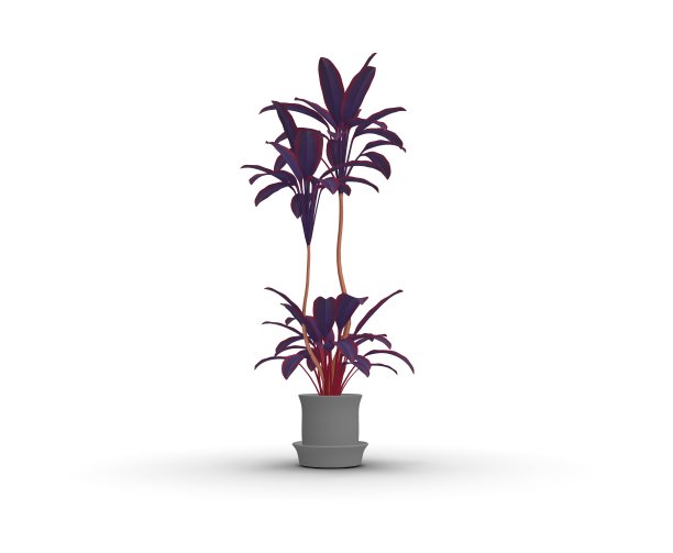 盆栽3D渲染植物图片下载