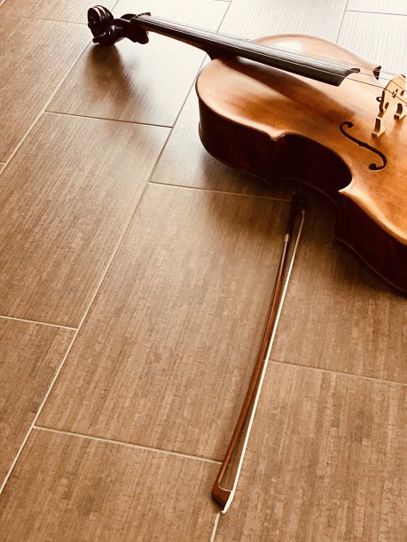 大提琴图片下载