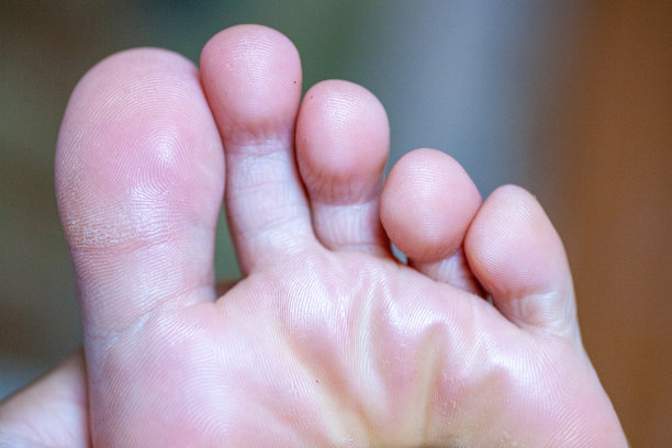 小女孩的脚趾健康美丽。图片下载