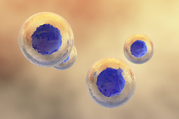 人类细胞图片下载