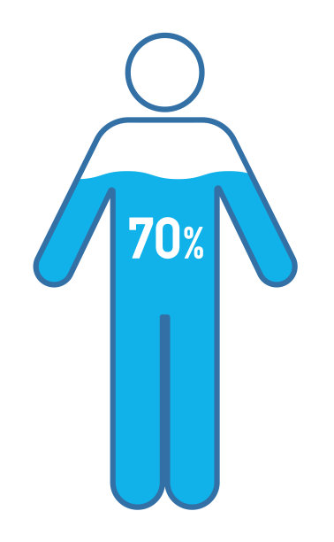 人体和水分的百分比说明，图表图片下载