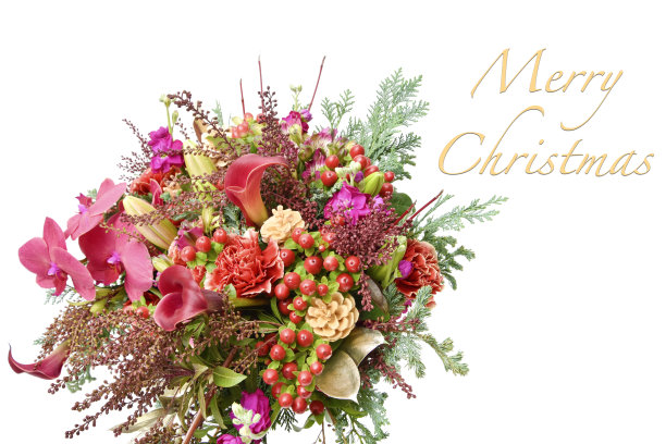 圣诞贺卡的概念。(蝴蝶兰、马蹄莲、康乃馨、金丝桃、长花百合、白牡丹、木荷叶、绣球)图片下载