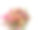 圣诞贺卡的概念。(蝴蝶兰、马蹄莲、康乃馨、金丝桃、长花百合、白牡丹、木荷叶、绣球)图片下载