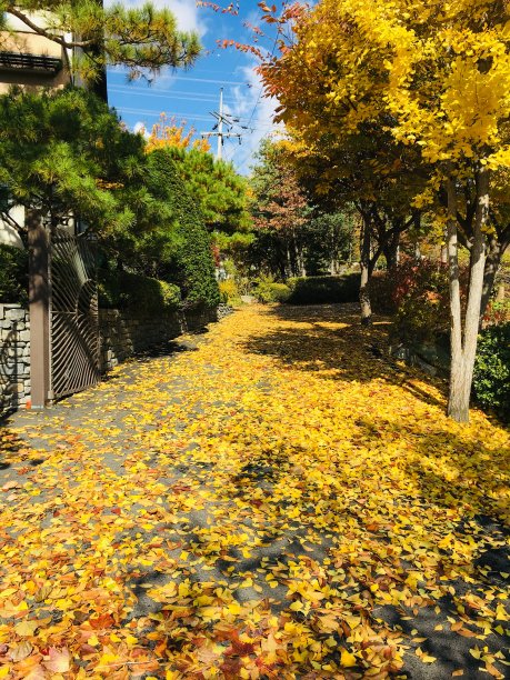 韩国风景优美图片下载