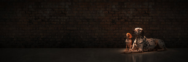 寂寞的街的狗。三维渲染图片下载