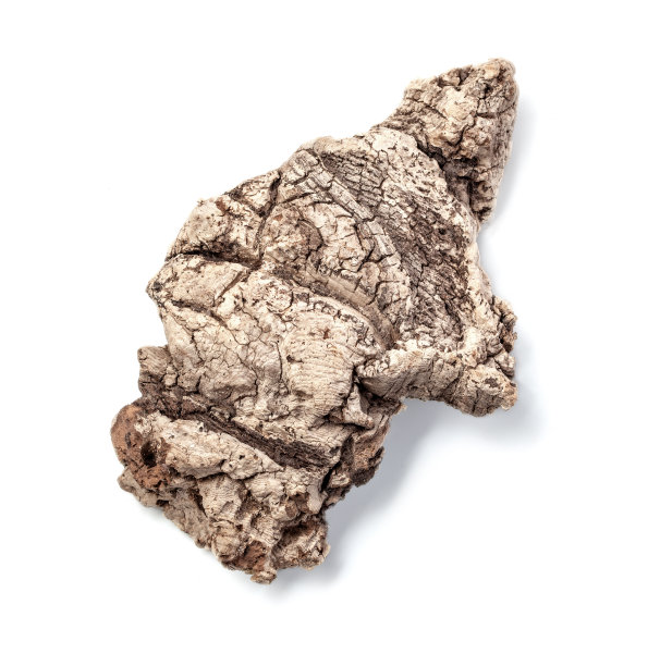 岁的浮木木材图片下载