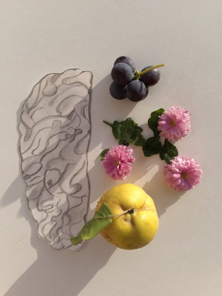 人类大脑的创造性概念。图片下载