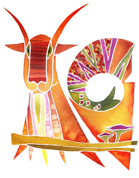 占星符号摩羯座在白色背景图片下载