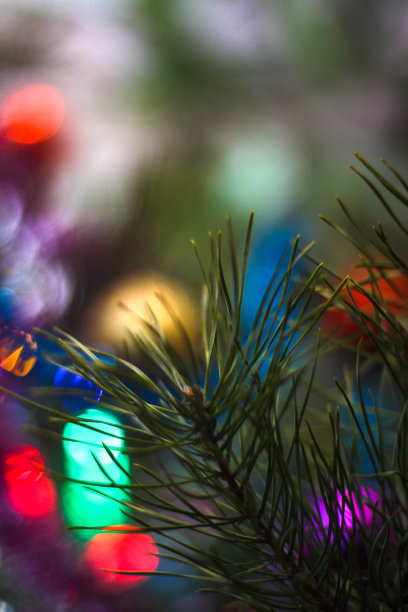 美丽的圣诞背景与花环和散景。圣诞节的彩色照片。抽象照片图像设计图片下载