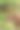 微距一个封闭的玫瑰花蕾与水滴的微距照片。图片下载
