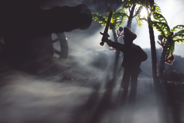 海盗。图片下载