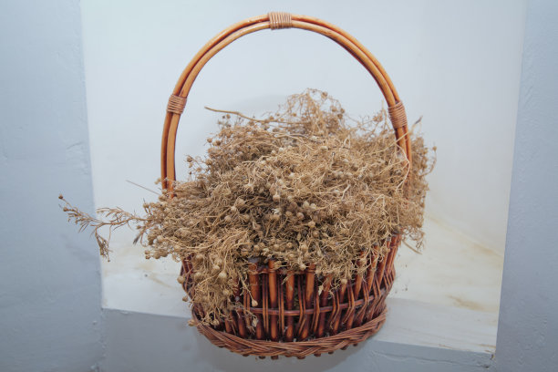 骆驼蓬，中草药，中草药，药用植物。在篮子里展出的干哈拉马。晒干的骆驼蓬被挂在家里或车上。图片下载