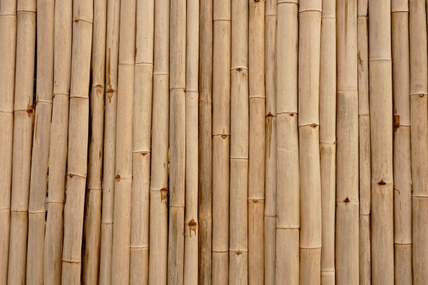 竹子的背景图片下载