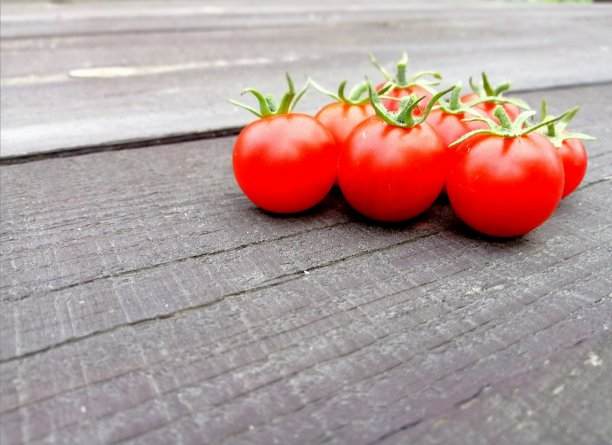 在深色木质背景上的小的孤立的西红柿图片下载