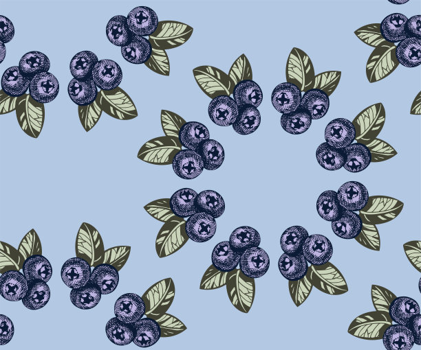 无缝模式与浆果。手绘装饰背景。矢量模式。印刷纺织品，布料，墙纸，剪贴簿图片下载