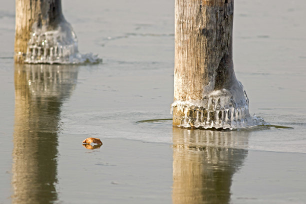 在零下的温度下覆盖着冰柱的木柱在冰冻的水面上反射图片下载