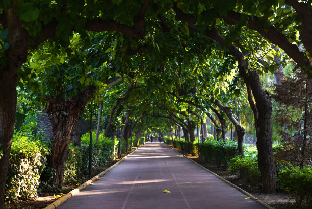 城市公园巷图片下载