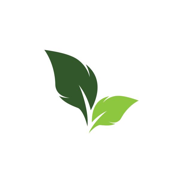 叶子符号矢量图标图片下载