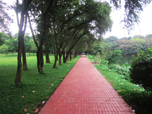 美丽的道路在花园与树木和天空图片下载