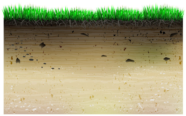 一片田野和植物的地质情况。图片下载