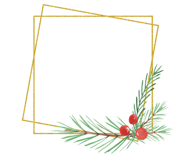 水彩圣诞框架与红花一品红，浆果，绿色的树枝和金色线在白色的背景为模板。图片下载