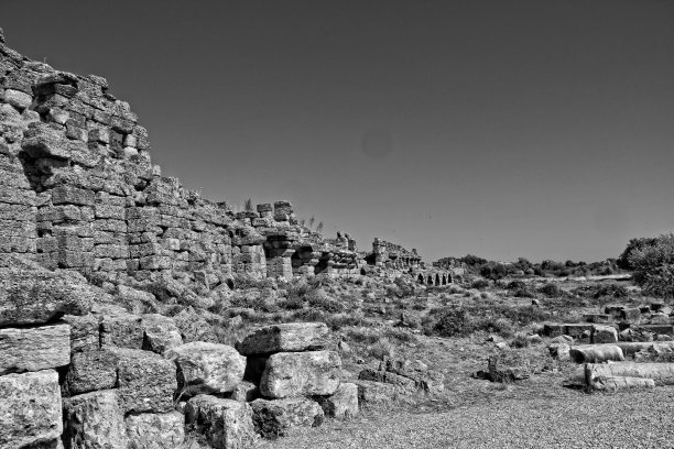 ruiny北区图片下载