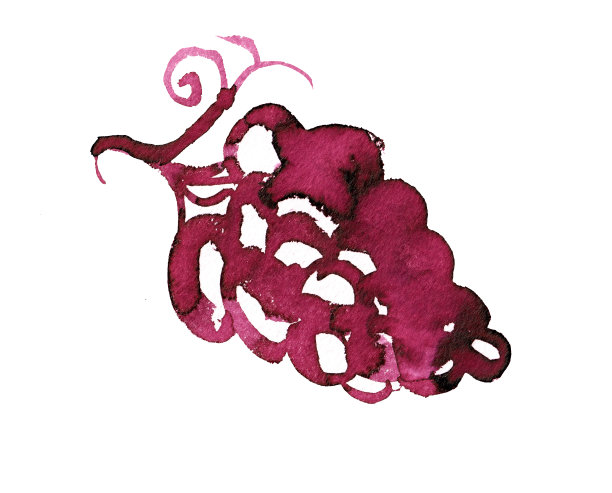 白色背景上分离出红酒污渍。葡萄酒口感水彩图片下载