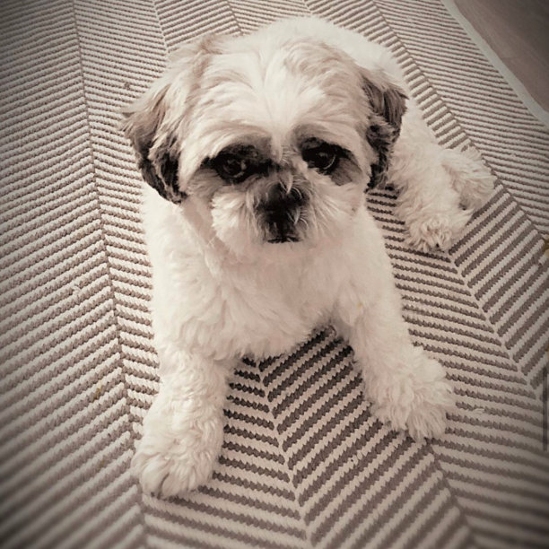 不要被愚弄图片下载