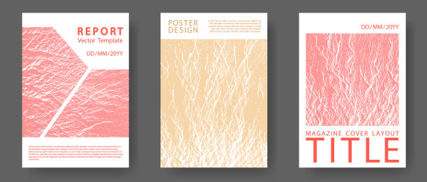 小册子设计矢量布局集。图片下载