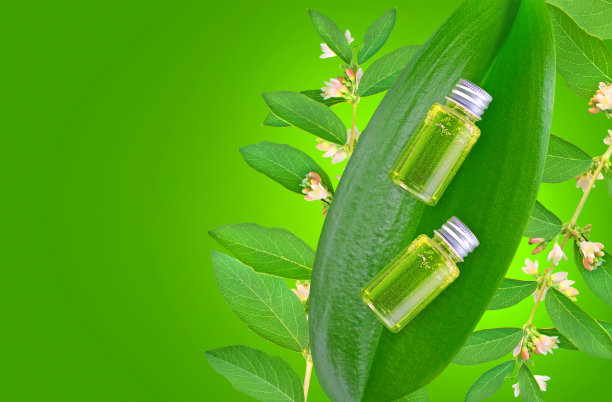 含有精油成分的天然草本化妆品。装有草药提取物的瓶子躺在绿色的叶子上。副本的空间。图片下载