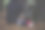 丛林生存袋和装备图片下载