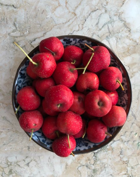 红色的山楂果实图片下载