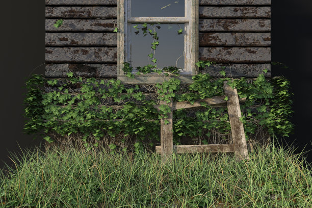 在一个废弃的房子外面看窗户，3d渲染。图片下载