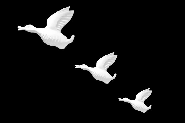 展翅鸟墙图片下载