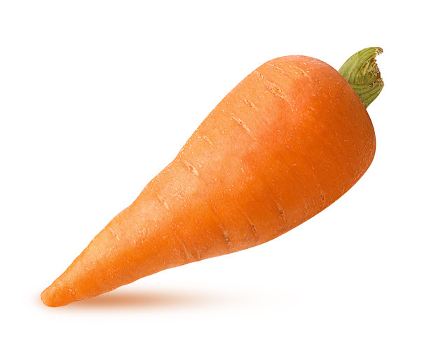 新鲜干净的胡萝卜图片下载