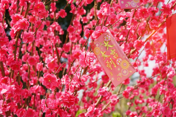 中国的红包在中国新年，中国的文字和印章意味着:好的祝福图片下载