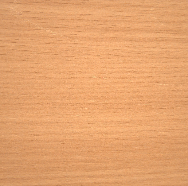 光山毛榉，自然纹理的画面上一锯特写。图片下载