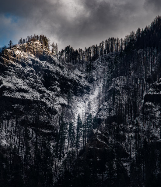 哥伦比亚峡谷山后的小雪图片下载