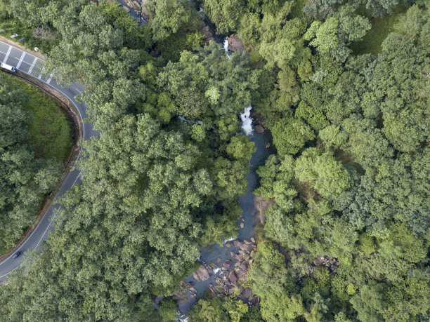 无人机拍摄的卡哈纳维塔艾拉瀑布，位于丛林中间，周围环绕着树木，还有一条主要道路，斯里兰卡达拉尼亚加拉图片下载