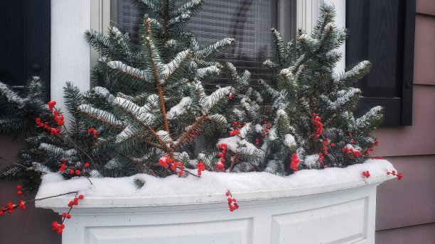 的窗口图片下载