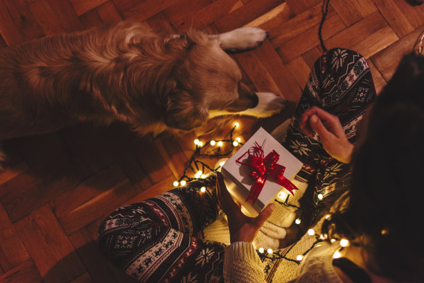 在家圣诞快乐图片下载